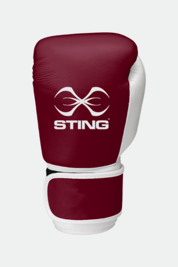 Custom Evolution Boxing Gloves
